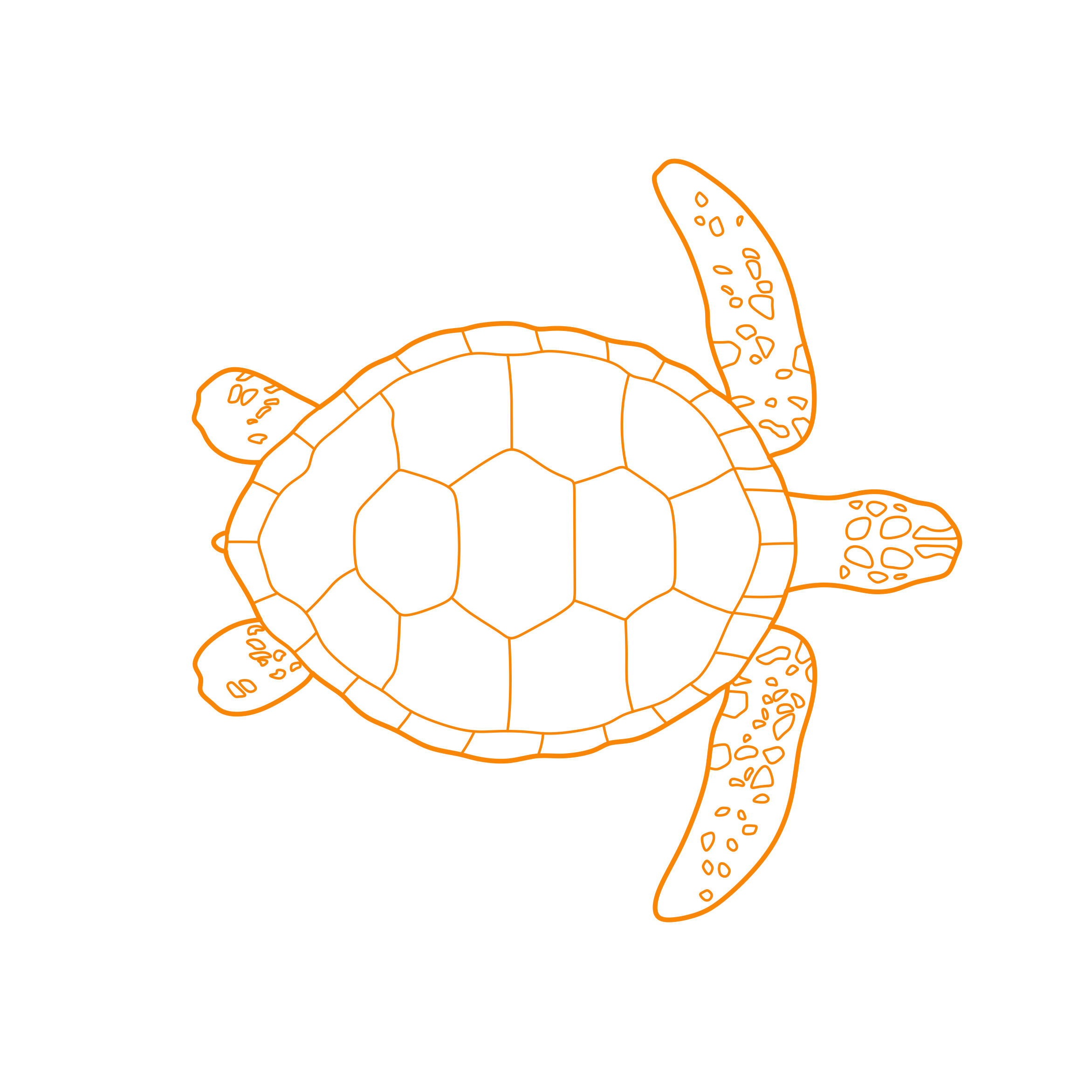 Animals Turtles Green Sea Turtle Outline Svg Vector Free Vectors